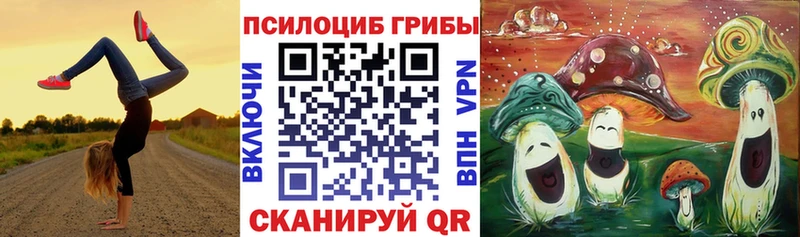 сайты даркнета клад  где продают наркотики  Петухово  Галлюциногенные грибы мицелий 